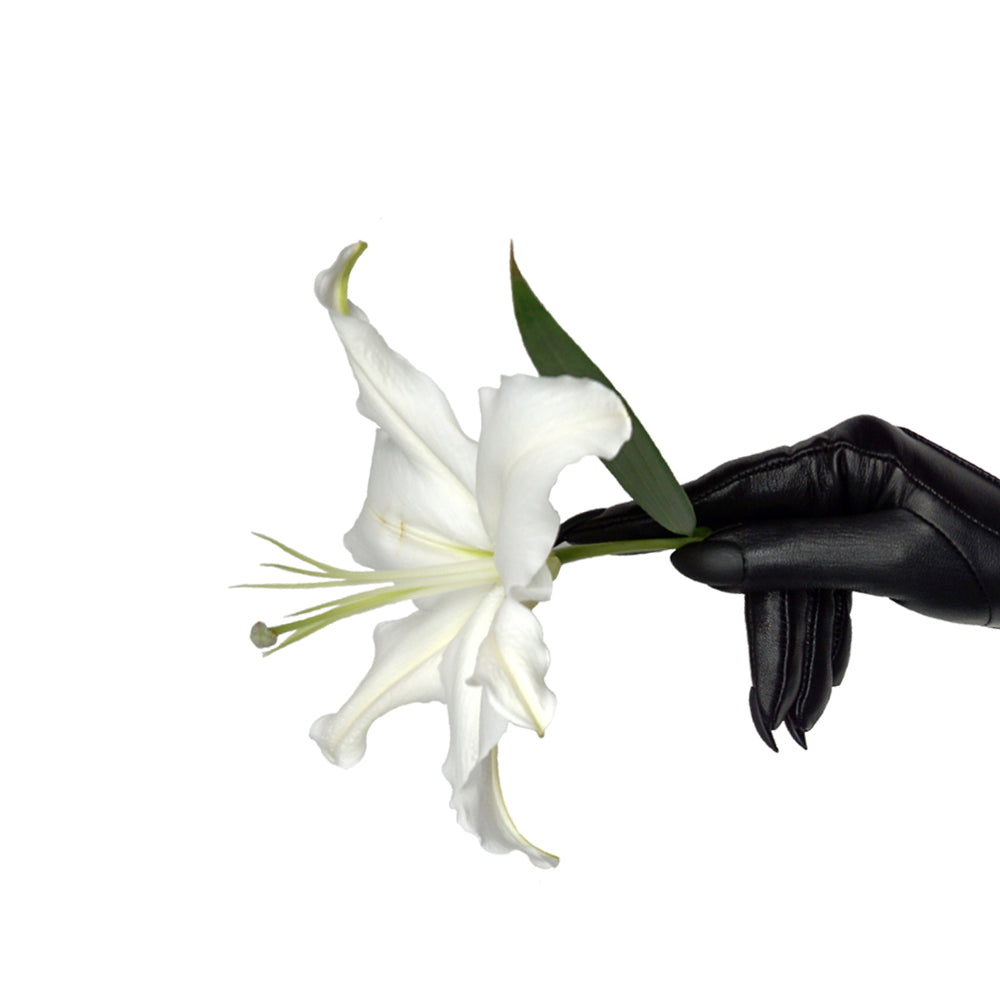 ALMOND NAIL GLOVES