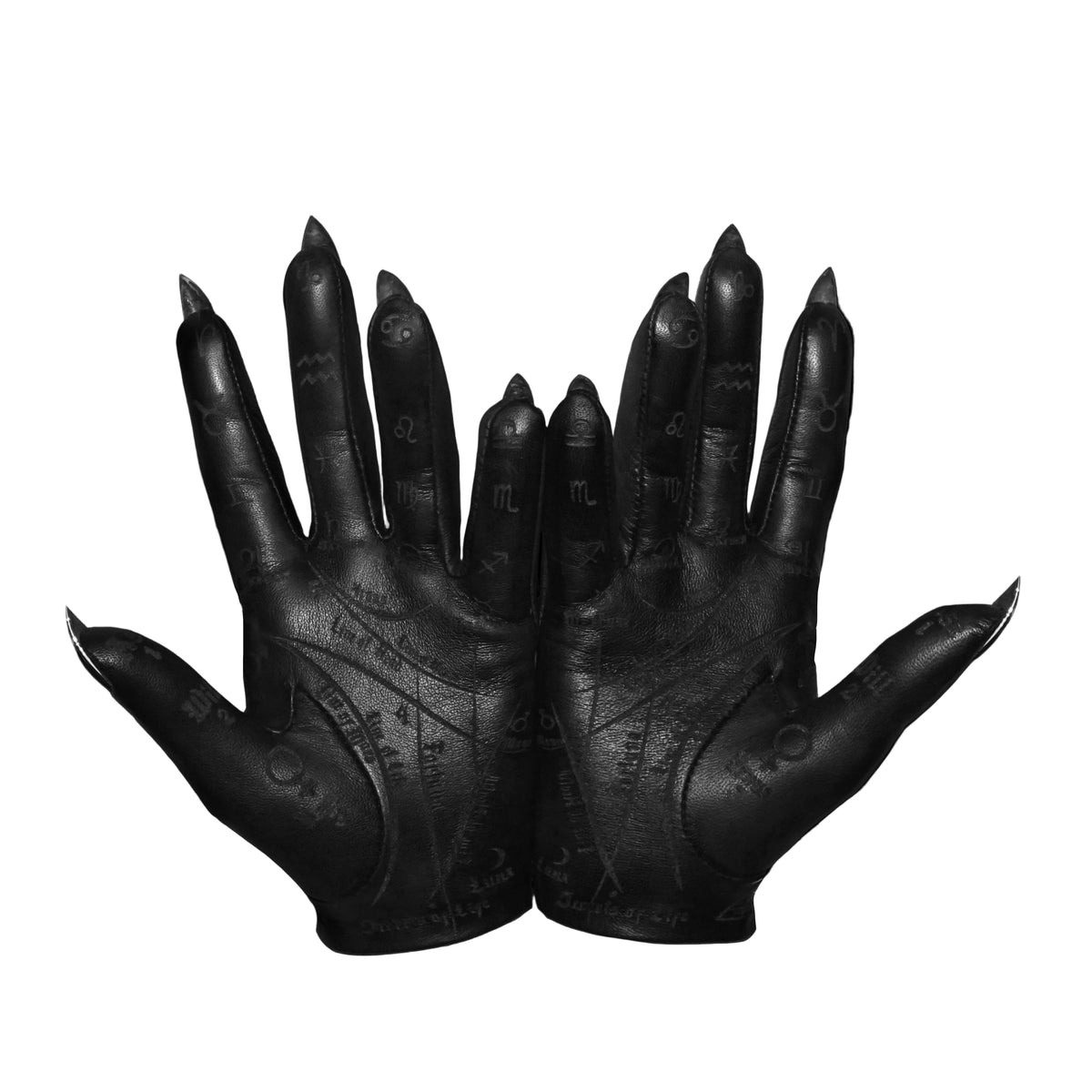 PALMISTRY NAIL GLOVES